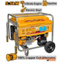 ge55003-1
