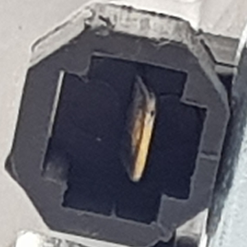 str6073_p_1024x10242xa1aa